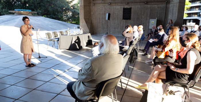 Biblioteca debajo de los arboles 41